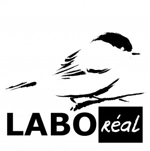LABOreal-VISUEL-logo