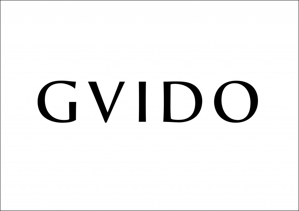 268_gvido_logo