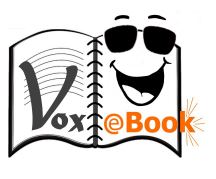 VoxBook