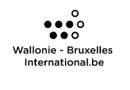 Wallonie-Bruxelles International : Appel à projets pour le Québec