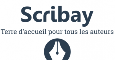 logo-scribay1