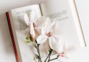 Votre jardin : la bibliothèque de demain ?